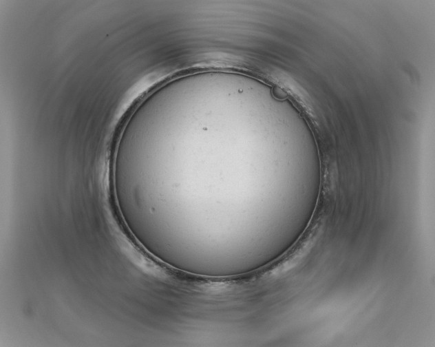 X0000112781130200908201523