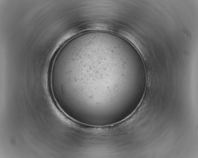 X0000112781139200908201523