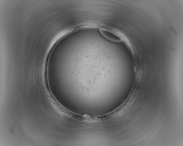 X0000112781146200908201523
