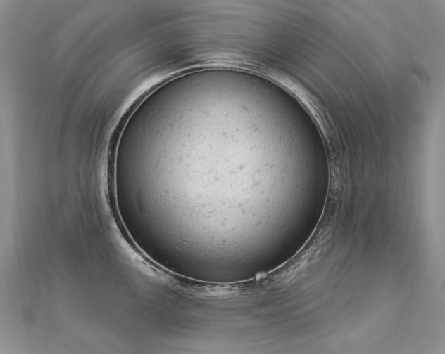 X0000112781147200908201523