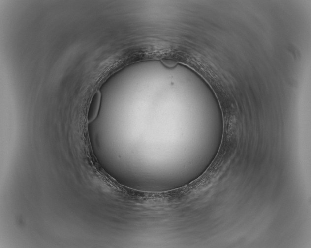 X0000112781153200908201523