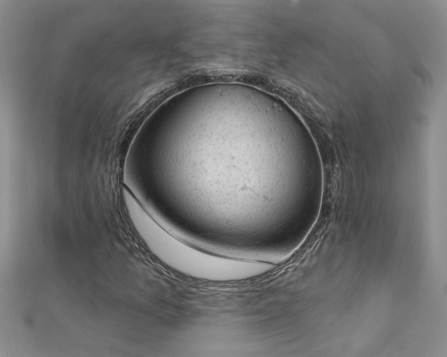X0000112781157200908201523