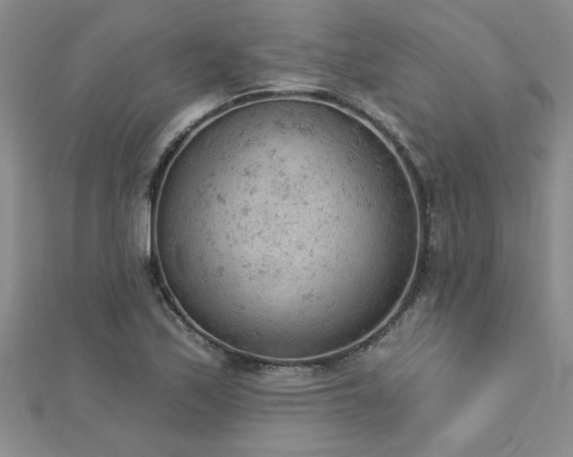 X0000112781171200908201523