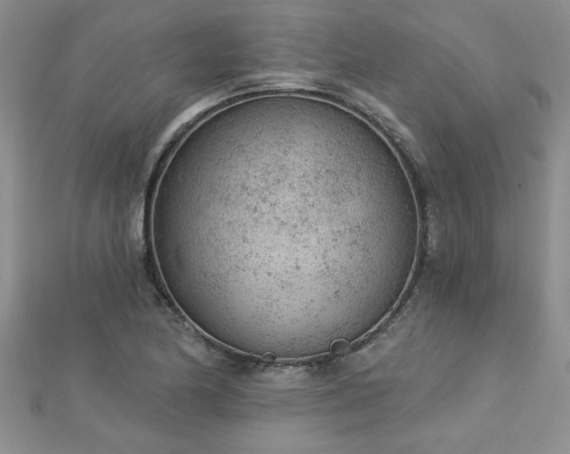 X0000112781174200908201523