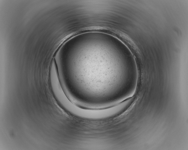 X0000112781177200908201522