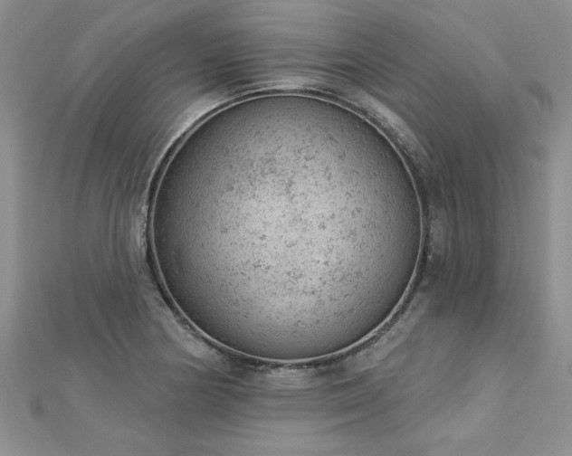 X0000112781178200908201522