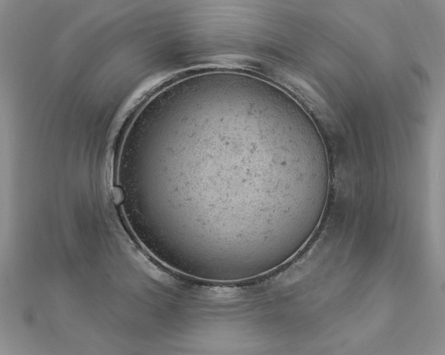 X0000112781180200908201522