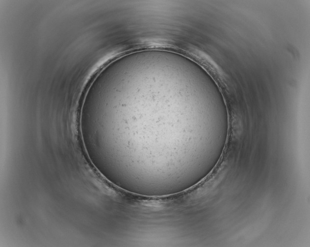 X0000112781182200908201522