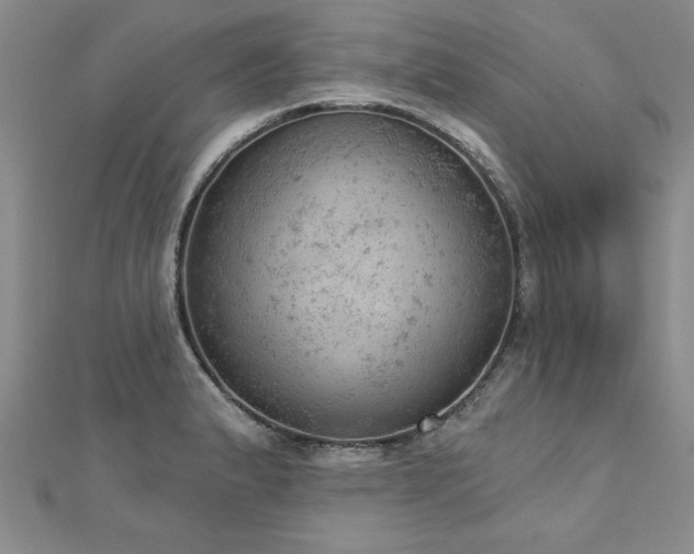 X0000112781183200908201522
