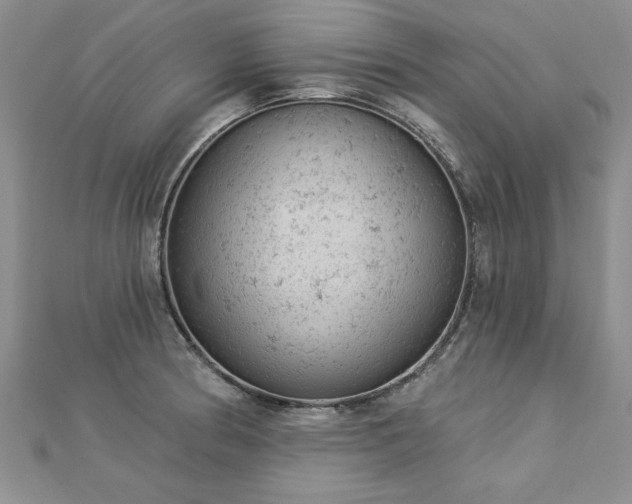 X0000112781186200908201522
