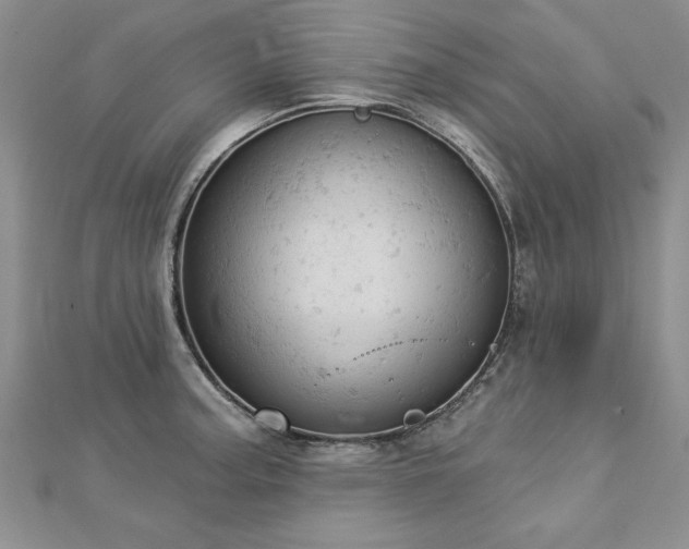 X0000112781187200908201522