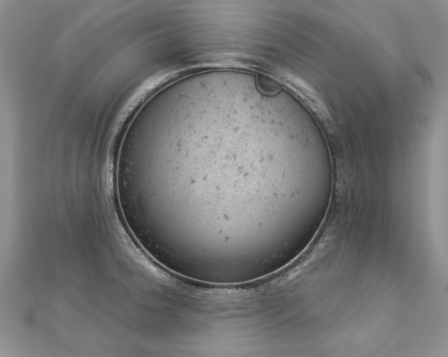 X0000112781188200908201522