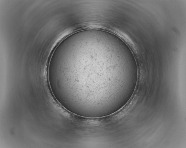 X0000112781190200908201522