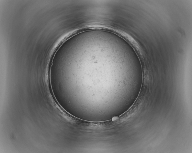 X0000112781191200908201522