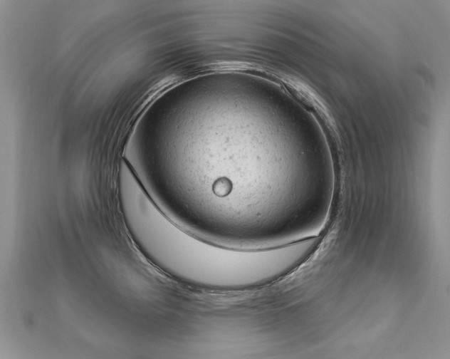 X0000112781193200908201522