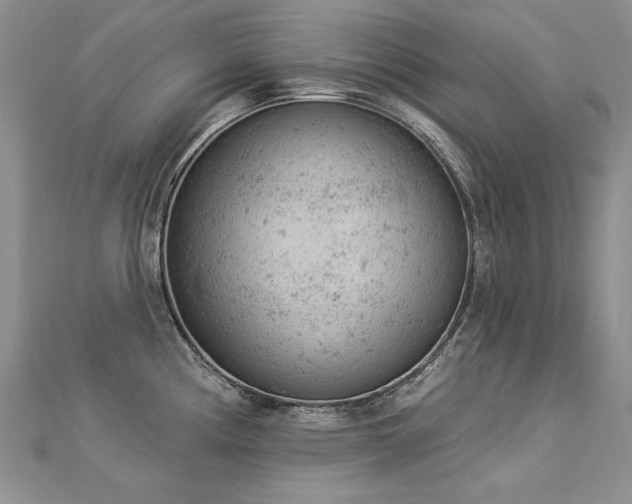 X0000112781194200908201522