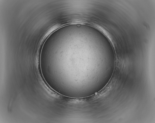 X0000112781195200908201522