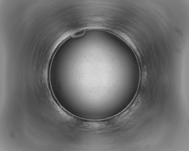 X0000112781197200908201522