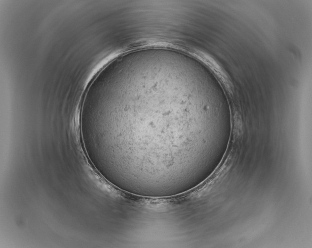 X0000112781198200908201522