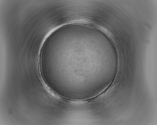 X0000112781200200908201522