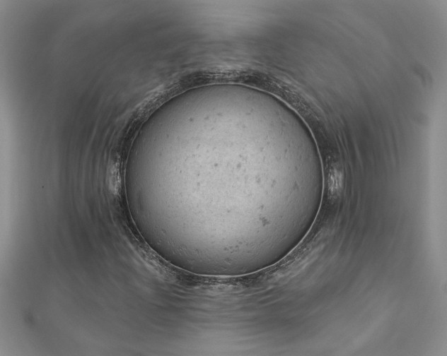 X0000112781204200908201522