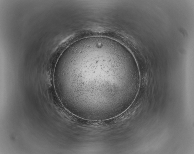 X0000112781205200908201522