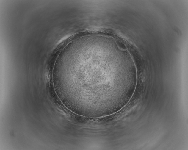 X0000112781206200908201522