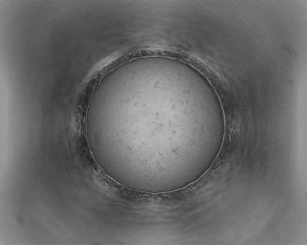 X0000112781207200908201522