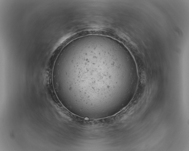 X0000112781208200908201522