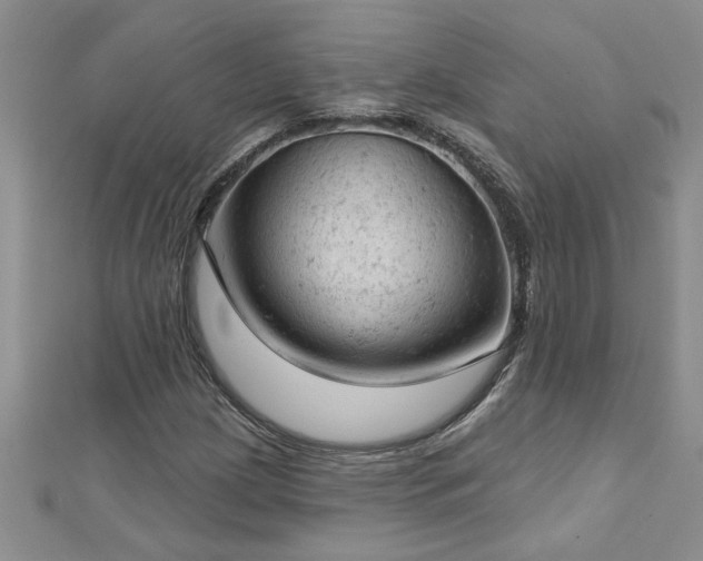 X0000112781209200908201522