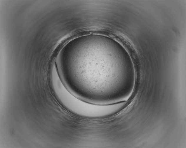 X0000112781210200908201522