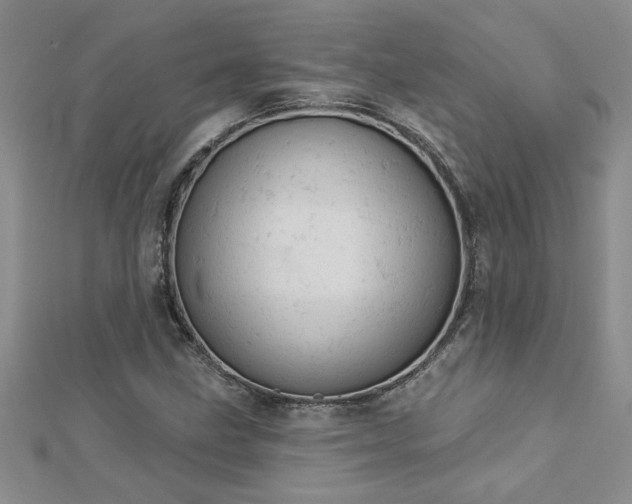 X0000112781211200908201522