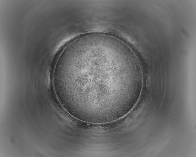X0000112781214200908201522