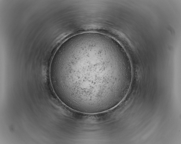 X0000112781217200908201522