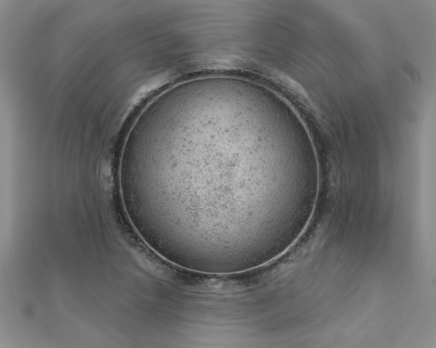 X0000112781218200908201522