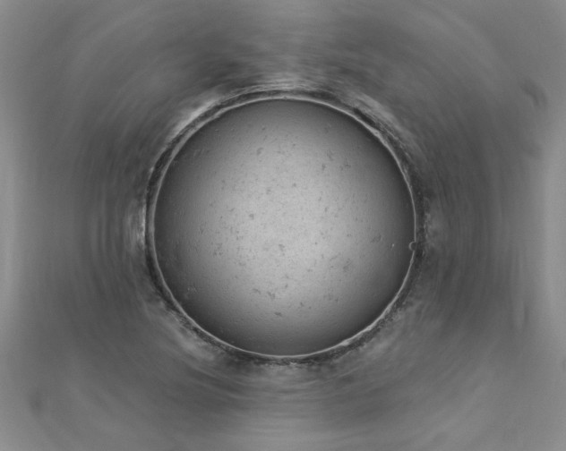 X0000112781220200908201522