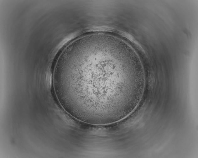 X0000112781221200908201522