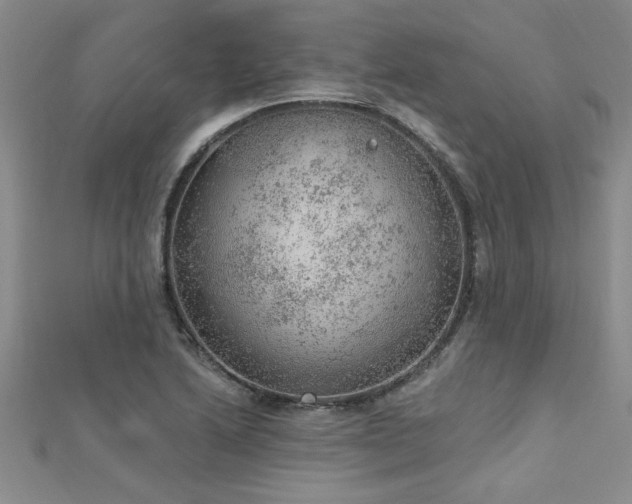 X0000112781222200908201522