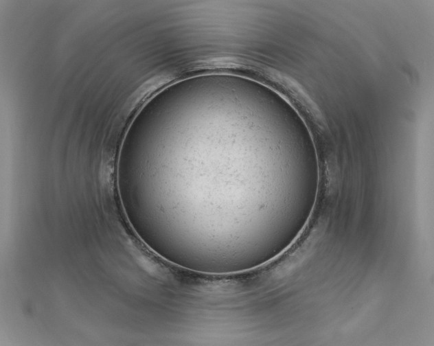 X0000112781225200908201522