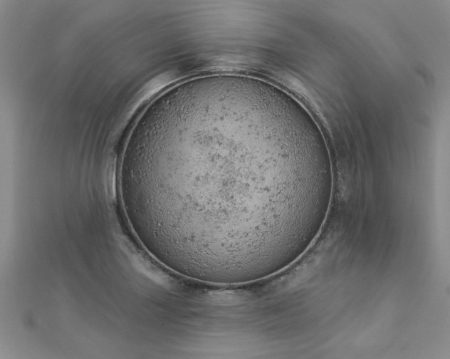 X0000112781227200908201522