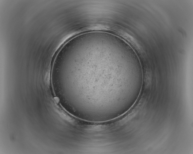 X0000112781228200908201522