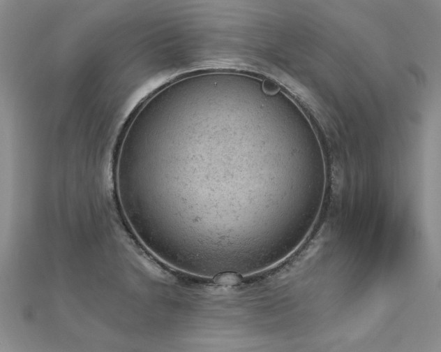 X0000112781230200908201522