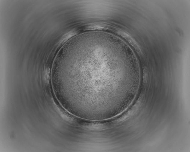 X0000112781233200908201522