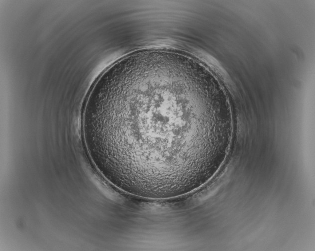 X0000112781234200908201522