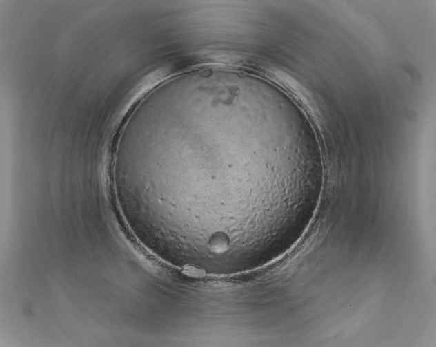 X0000112781235200908201522