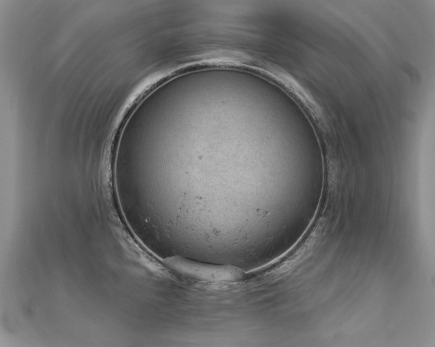 X0000112781240200908201522