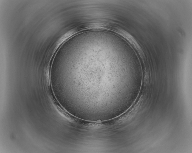 X0000112781242200908201522