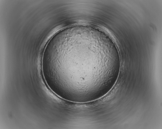 X0000112781243200908201522