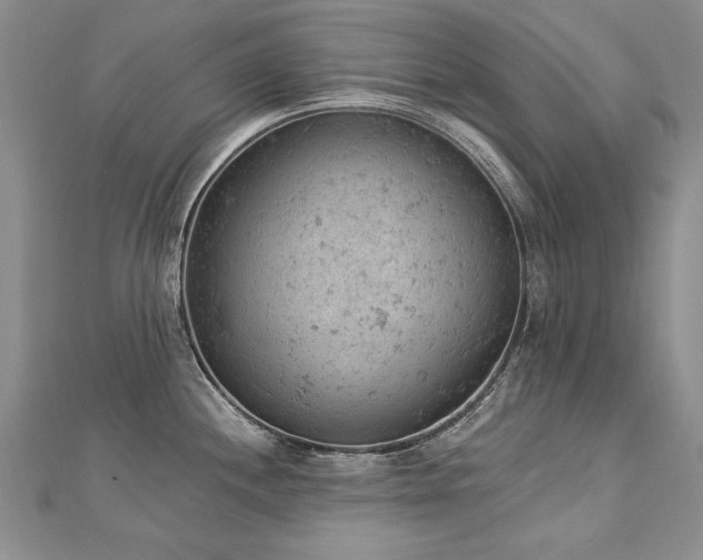 X0000112781244200908201522