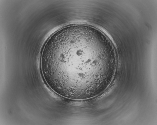 X0000112781245200908201522